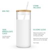 Tronco 20 oz Glass Tumbler with Lid and Straw, Iced