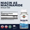 KAL Niacinamide 250mg Tablets, Vitamin B3 Supplement for Skin Health,