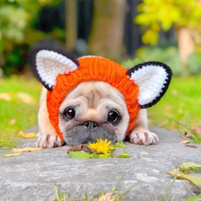 Zoo Snoods Fox Costume - Knit Dog Snood Ear Wrap