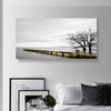 Looife 40x20 Inch Canvas Prints Wall Art-Abstract Black and White