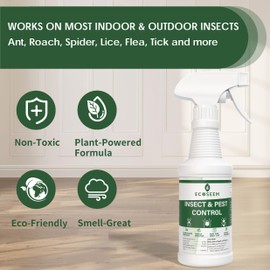 EcoSeem Insect & Pest Control Spray – Natural Essential - Bug Killer & Insect Repellent, Kills Ant, Spiders, Carpet Beetles, Roaches, Flies- Safe for Pets & Family, Indoor & Outdoor Use 16OZ