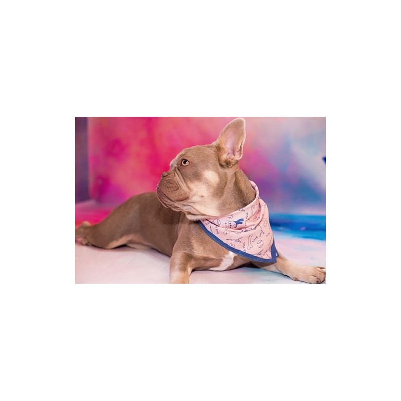 Pooch Mode Conversational Print Dog Bandana (Medium/Large)