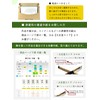 Daishodo Calligraphy Semi Paper for Practice, Beginners (Easy to Write),