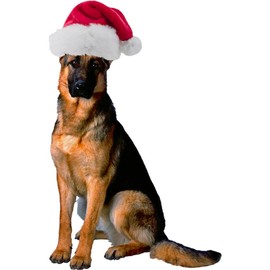 CafePress German Shepherd Santa Pillow Case Standard Size Pillowcase, Lumbar Pillow Cover Fleece