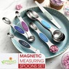 Spring Chef Stainless Steel Magnetic Measuring Spoons Set of 8