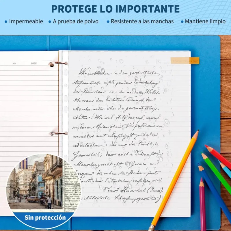 500 Piezas Protectores De Hojas Para Carpeta/cubre Hojas