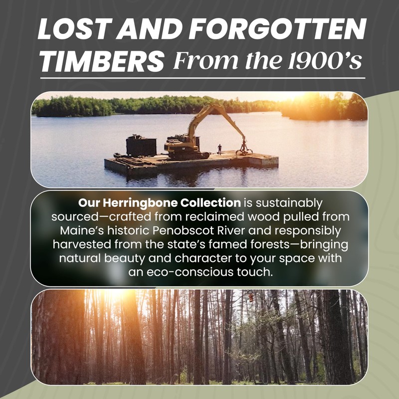 TIMBERCHiC 100% Wood Wall Planks - Made in USA -