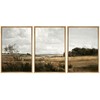 MUDECOR Framed Canvas Print Wall Art Rustic Fields Tranquil Countryside