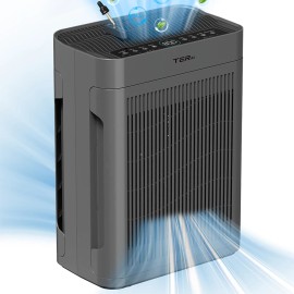 TER air Purifier for Home Large Room Personal for Smoking 99.97% air Purifier Pet Hepa Smart Home Household Air Purifierscolor: Grey, plug type: US, Voltage (V): 24 V
