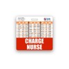 Charge Nurse Badge Buddy Horizontal w/Height & Weight Conversion Charts