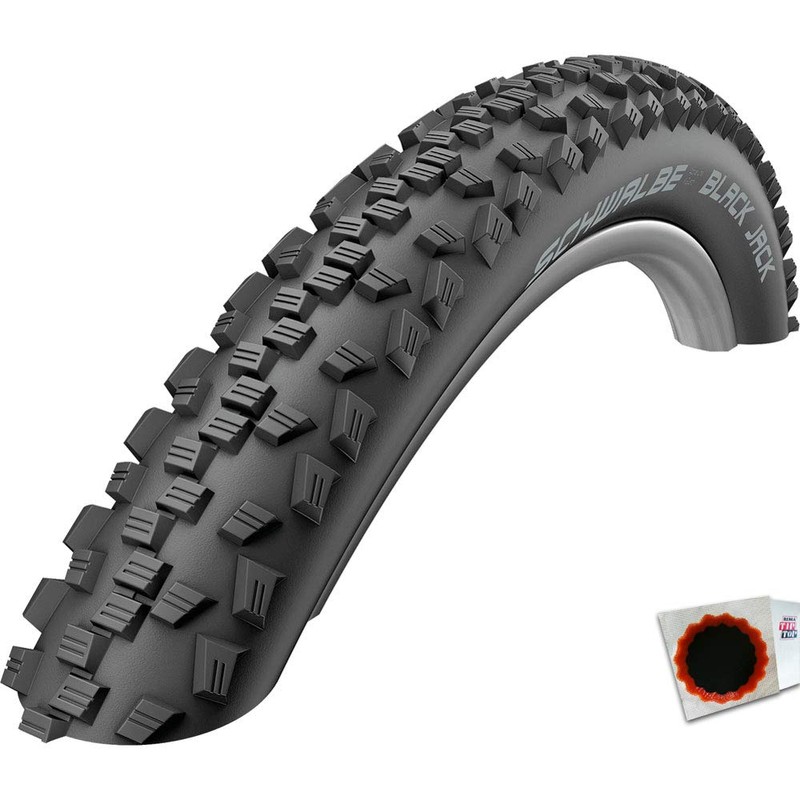 SCHWALBE Black Jack Active Line Tire, 24x1.9-Inch