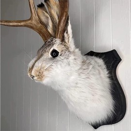 YXMKJOS Jackalope Mount, Easter Bunny Wall Decor, Jackalope Taxidermy, Animal Head Wall Decor, Animals Wall Art, Resin Deer Head Animal Wall Mount, for Home Wall Decoration