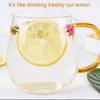 Preserved Lemon，Dried Lemon Slices，500g/17.6oz Individual Packs 100% Natural Premium Quality，Add