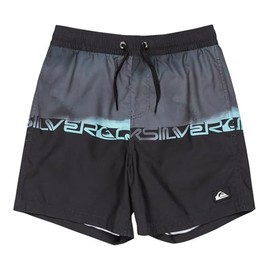 [クイックシルバー] ボードショーツ EVERYDAY WORDBLOCK VL YTH14 ボーイズ KVJ8