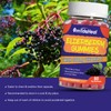 Elderberry Supplements, Elderberry Extract 300mg, with Vitamin C and Zinc,