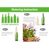 Slow Seep White Terracotta Vacation Plant Waterer 8 Pack Self