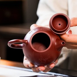 fanquare 220 ml Handmade Chinese Yixing Zisha Teapot, Dragon Egg Shaped Teapot with Plum Blossom Pattern, Carving Ceramic Kungfu Tea Set