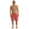 Quiksilver Men's Board Shorts, Double Piping, 19 Inches Length, Includes