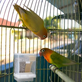 POPETPOP Automatic Bird Feeder for Cage: Parrot Feeder with Spoon No Mess Bird Feeder Transparent Parakeet Feeder Bird Food Dispenser for Cockatiel Cockatoos, 16.50X10.60X10.00CM