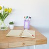 balvi Pencil Holder Sharpener Colour Mauve Keep Your Desk Organized