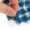 Alipis Model Basing Flower Cluster Flowers Vegetation Groups Grass Tufts
