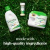 Pure Bliss by Similac Organic Infant Formula, Easy to Digest,