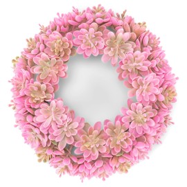 Boston International Decorative Front Door/Wall Wreath, Pink Succulent