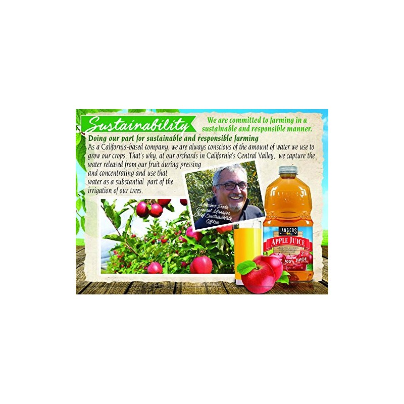 Langers 100% Juice, Apple, 101.4 Fl Oz (Pack of 4)