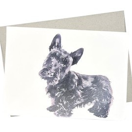Scottish Terrier Card, Scottie Birthday Card (1 Premium Quality Folded Card, Blank Inside, 5X7 Inches) Dog Card also for Anniversary, Wedding, Get Well and Thank You - 441