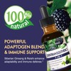 FIOLIVAD Immune Support Supplement with Siberian Ginseng Liquid Drops, Natural