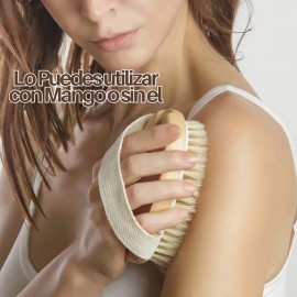 Cepillo Corporal Universo Linea Cerdas Naturales Mango Removible