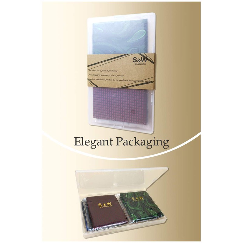 Shlax&Wing Pack of 5 Assorted Handkerchiefs for Men - Square