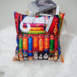 DILOXNSU Cat Cushion Covers Reading Books Cats Bookshelf Velvet Square Double Sided Printing Decorative Pillow Cover for Sofa Couch Home Office Garden Cushions Covers 45 x 45 cm 18 x 18 inch