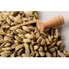 52USA White Cardamom (Amomum Cardamomum) 4oz (113g) – Bai Dou