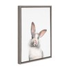 Kate and Laurel Sylvie Young Rabbit Framed Canvas by Amy
