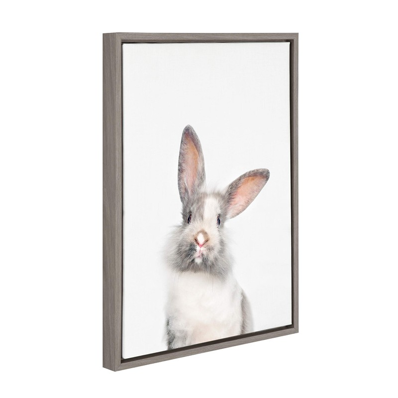 Kate and Laurel Sylvie Young Rabbit Framed Canvas by Amy