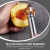 BESTonZON Peach Pitter 2pcs Stainless Steel Fruit Core Remover Fruit