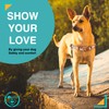 SUPER DOGGY Anti-Pull Harness for Dogs - Easy Walk Harness