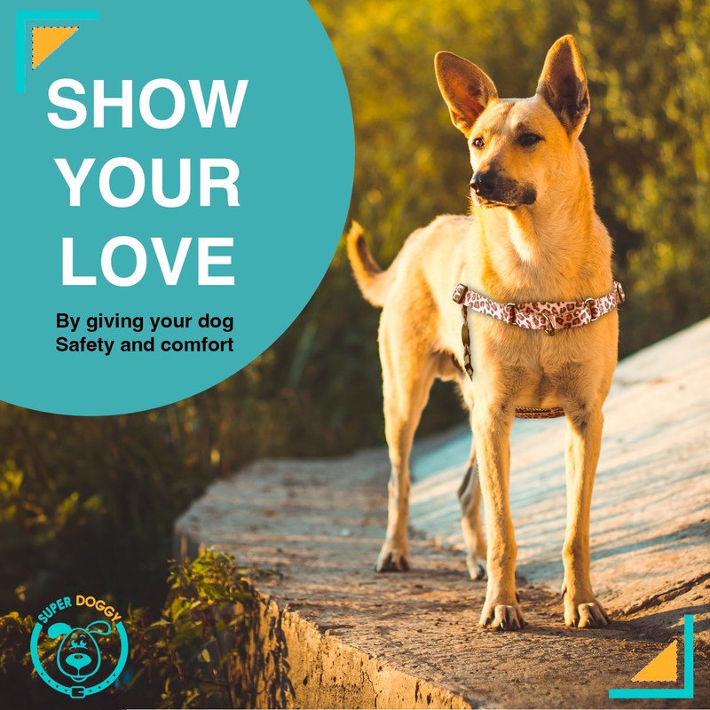 SUPER DOGGY Anti-Pull Harness for Dogs - Easy Walk Harness