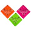 HankieWorld Bandanas 3 pack 22 inch Cotton Paisley Kerchiefs for
