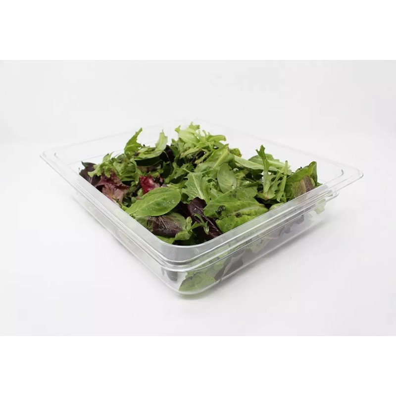 Dilitools Inserto De Policarbonato Medio 2.5 , 4.1 Qt Dilitools