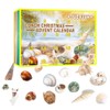 Christmas Countdown Advent Calendar 24 Pcs Shell Toys 2022 Conch
