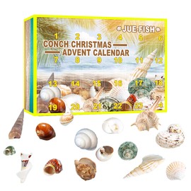 Christmas Countdown Advent Calendar 24 Pcs Shell Toys 2022 Conch Calendar Toy Set Christmas Gift New Year Gift