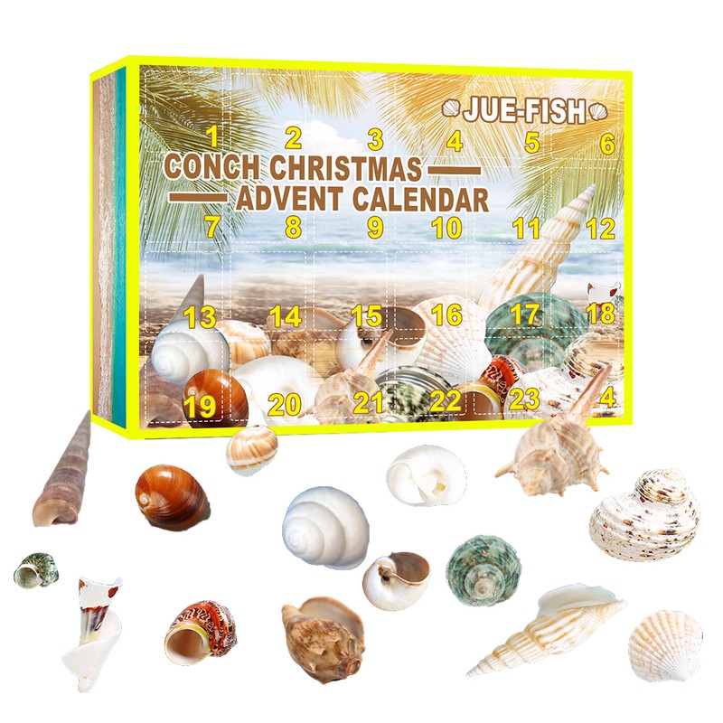 Christmas Countdown Advent Calendar 24 Pcs Shell Toys 2022 Conch