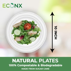 ECONX 10 Inch Disposable Sugarcane Bagasse Plates Large Round Paper Plates Starters and Desserts Plate Eco Friendly Biodegradable Compostable Plates for Picnics BBQs Parties Daily Use (50)