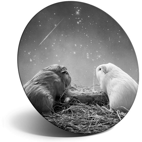 Destination Vinyl ltd Magnet for Refrigerator, Fridge BW - Cute