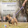 Fancy Pets Correa CH Aqua Pop para Perro – Paseo