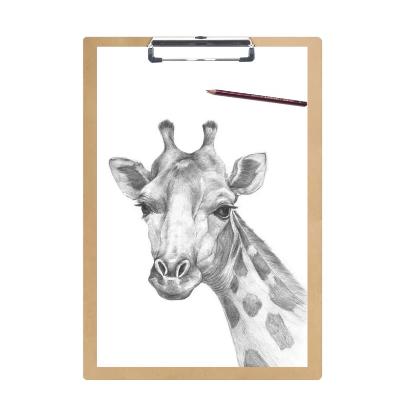 Acocony 11x17 Clipboard Vertical Extra Large Clipboard Hardboard Low Profile