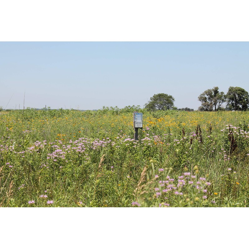 Raw Honey Pure Natural Nebraska Honey One 5lb Jug