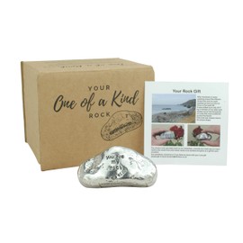 Pirantin 23rd Anniversary You Are My Rock Gift Idea - Solid Metal Heavy Polished Rock Gift for 23 Year Anniversary